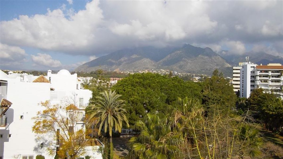 Marina Mariola apartamento 3 Dormitorios Oeste