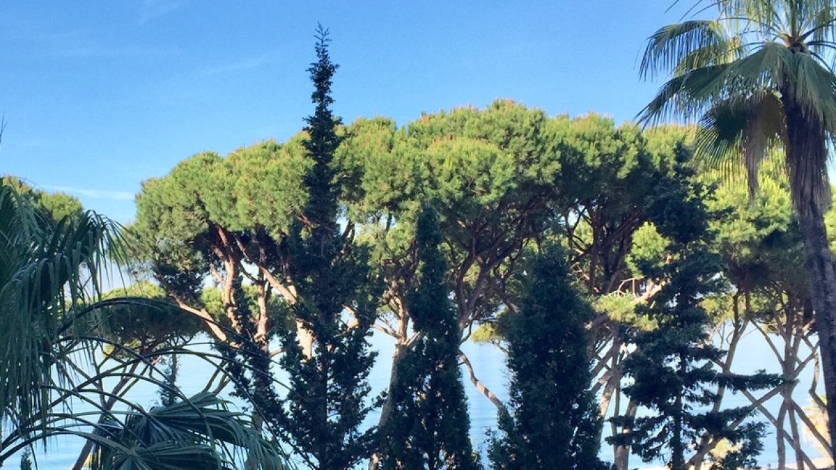 Marina Mariola Marbella, Apartamento 2 Dormitorios 