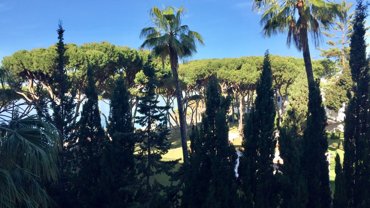 Marina Mariola Marbella, Apartamento 2 Dormitorios 